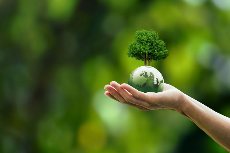 Human hand holding green globe with growing trees against blurred natural green background